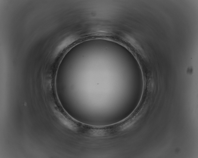 X0000093451402200710191053