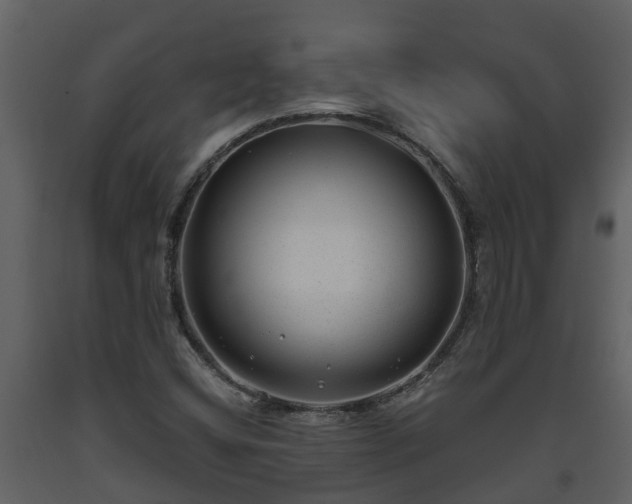 X0000093451404200710191053