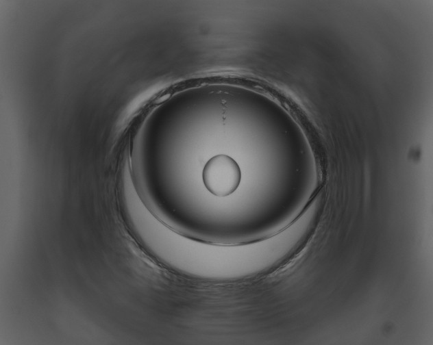 X0000093451406200710191053