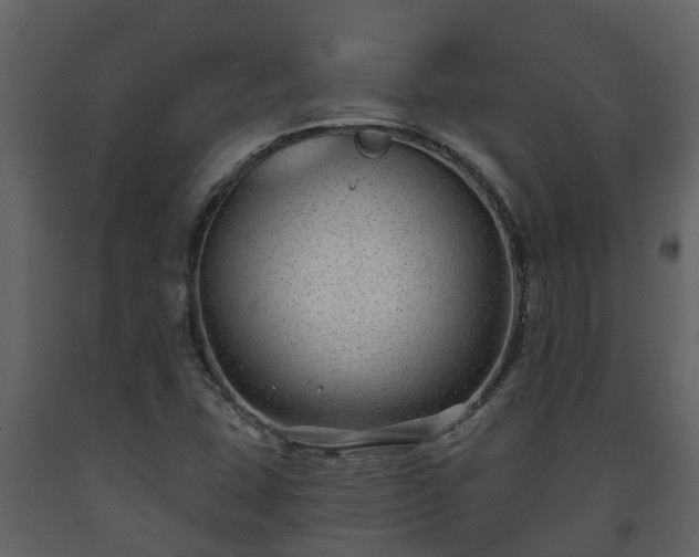 X0000093451407200710191053