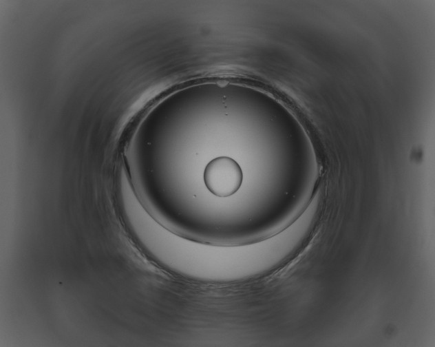 X0000093451410200710191053