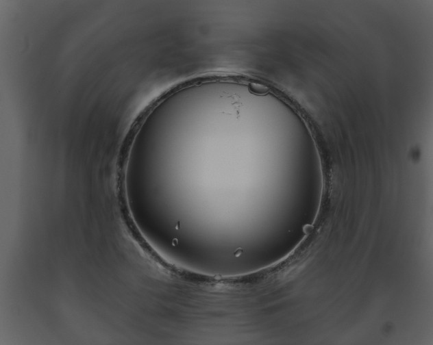 X0000093451412200710191053