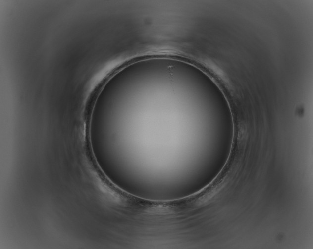 X0000093451414200710191053