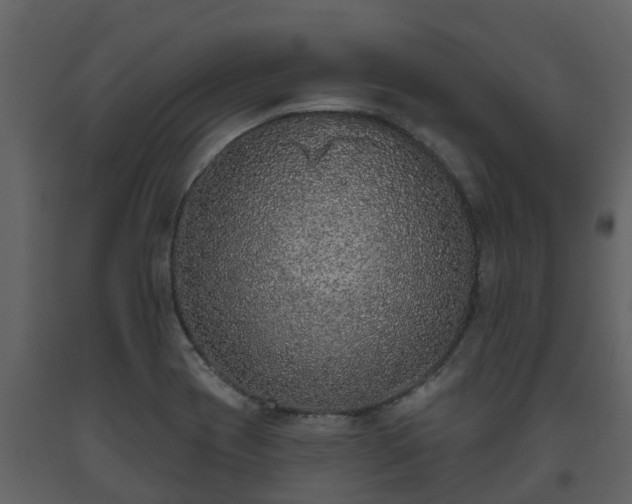 X0000093451417200710191053