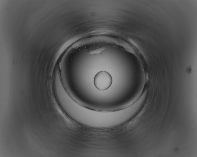 X0000093451418200710191053