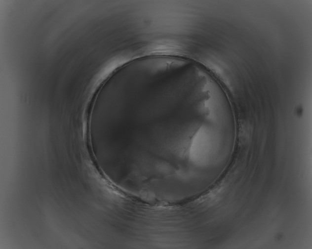 X0000093451419200710191053