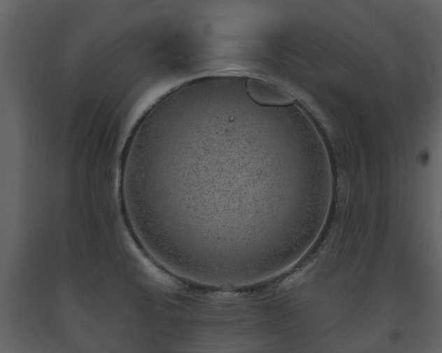 X0000093451424200710191053