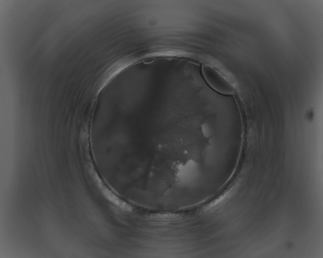 X0000093451425200710191053