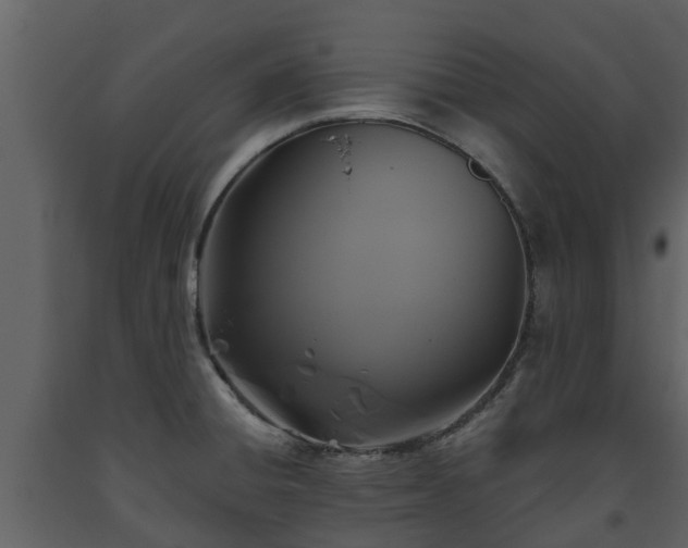 X0000093451428200710191053