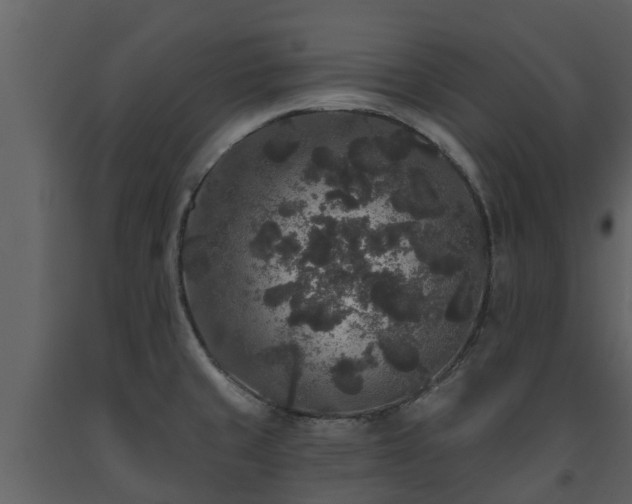 X0000093451429200710191053