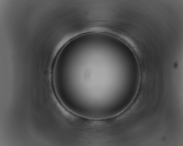 X0000093451430200710191053