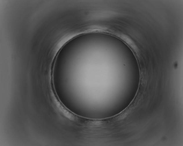 X0000093451431200710191053