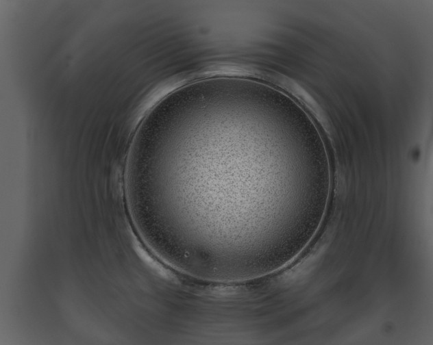 X0000093451433200710191053