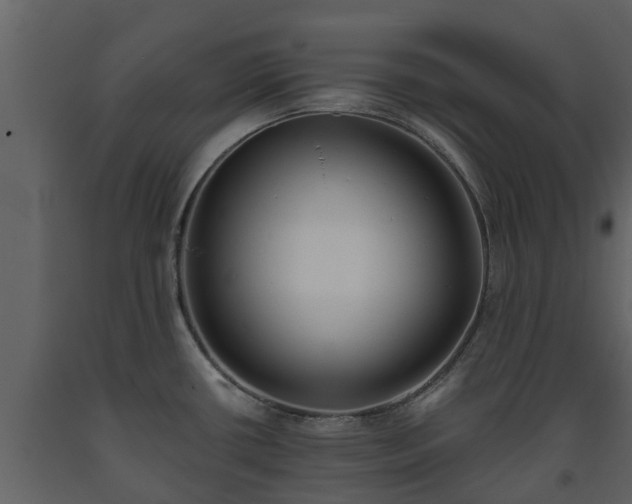 X0000093451434200710191053