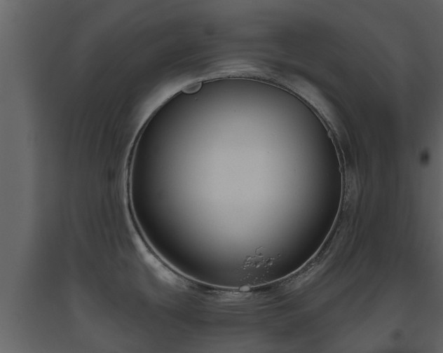 X0000093451439200710191053