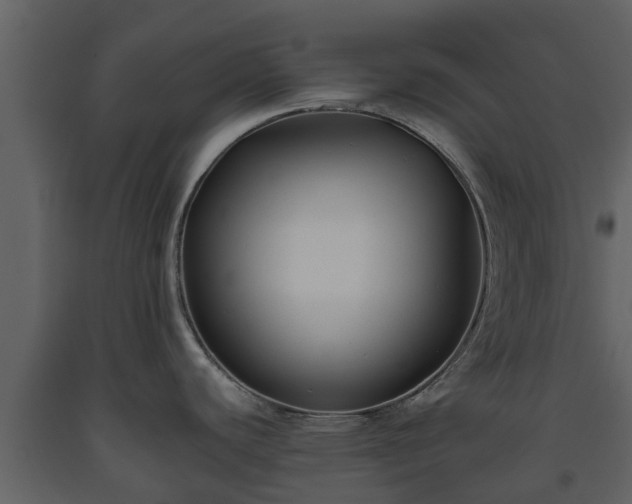 X0000093451440200710191053