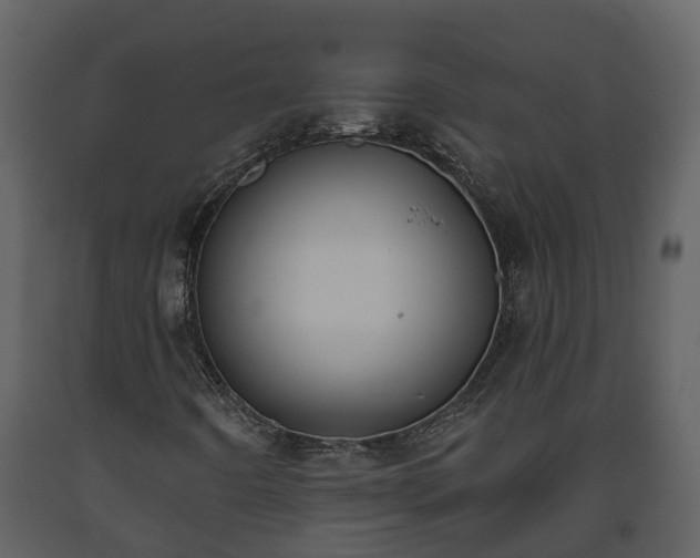 X0000093451442200710191053