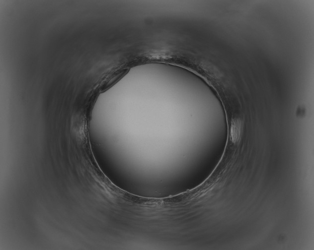 X0000093451444200710191053