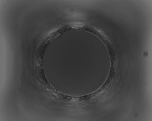 X0000093451445200710191053