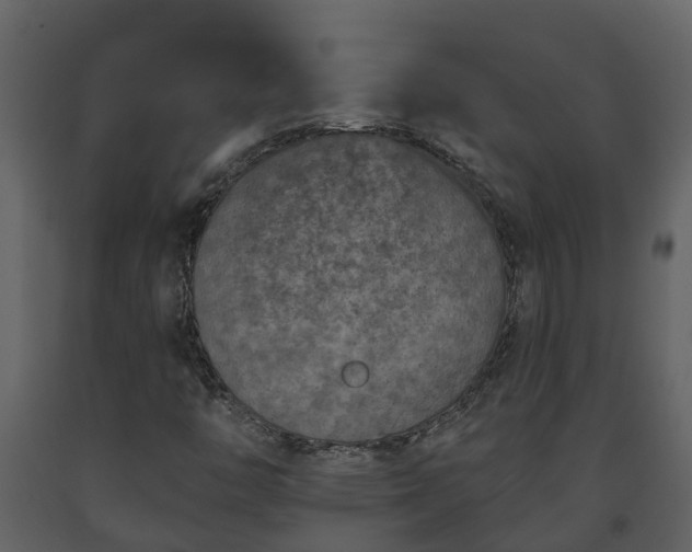 X0000093451446200710191053