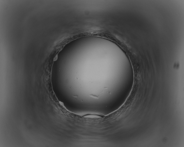 X0000093451447200710191053