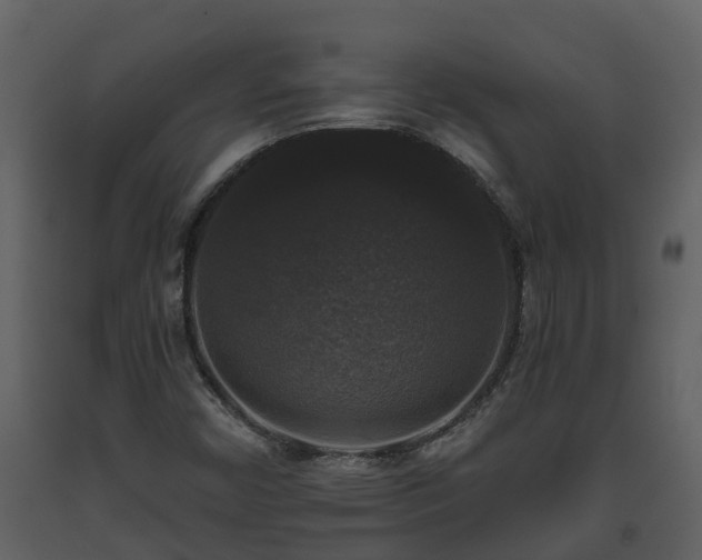 X0000093451450200710191053