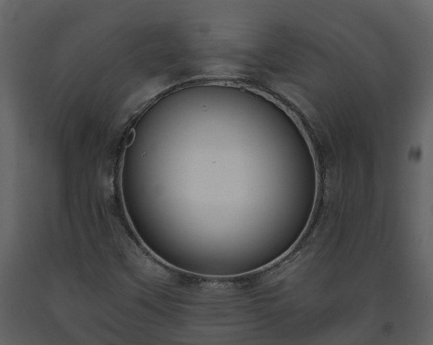 X0000093451451200710191053