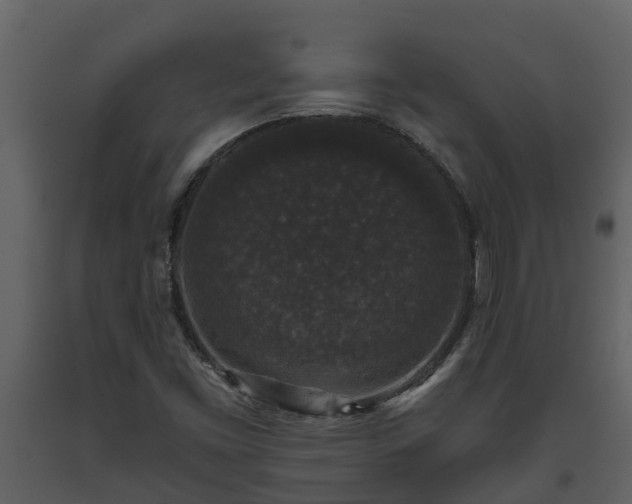 X0000093451453200710191052