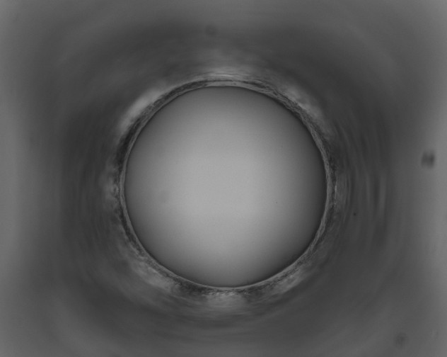 X0000093451454200710191052