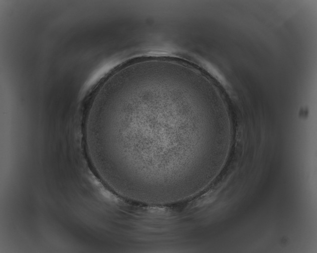 X0000093451456200710191052