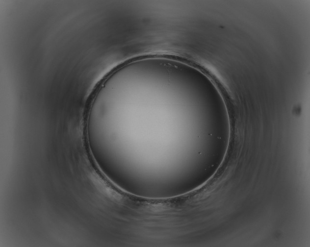 X0000093451460200710191052