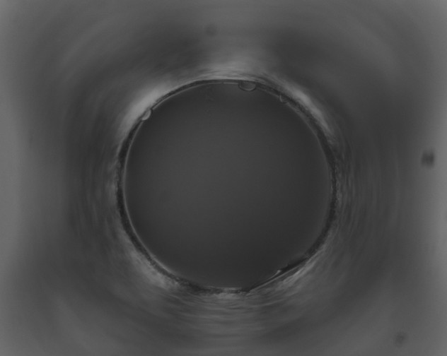 X0000093451463200710191052