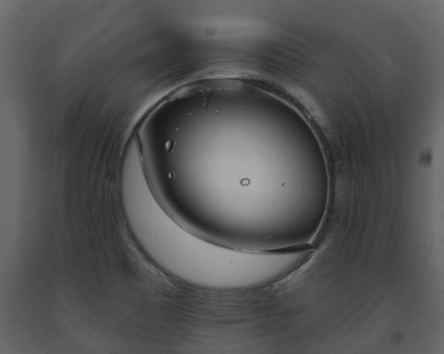 X0000093451465200710191052