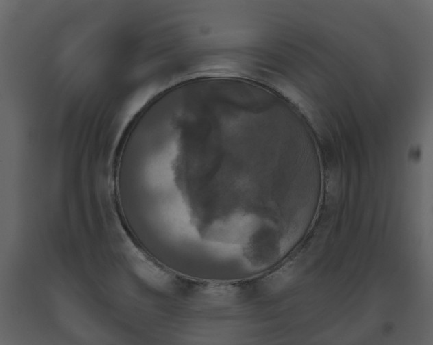 X0000093451466200710191052