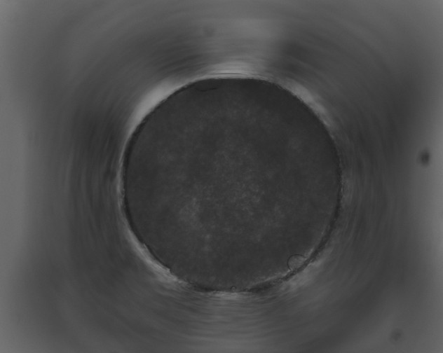 X0000093451469200710191052