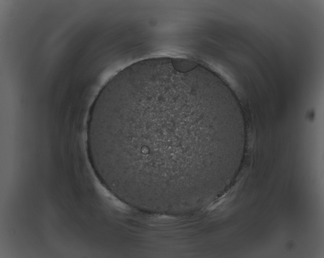 X0000093451471200710191052