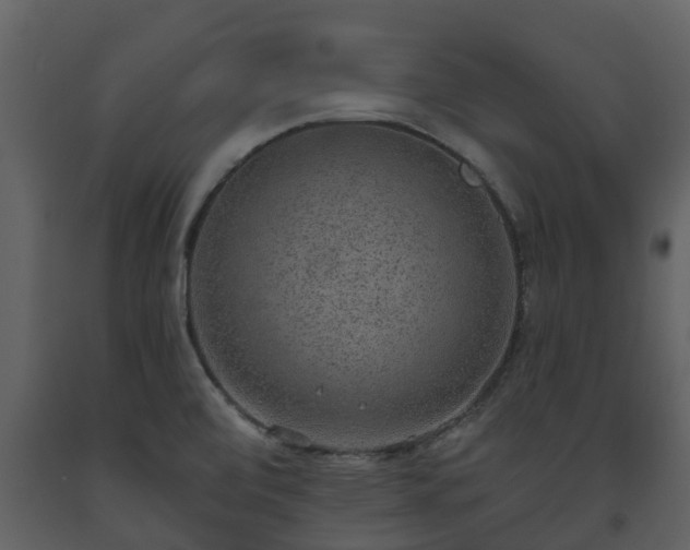 X0000093451472200710191052