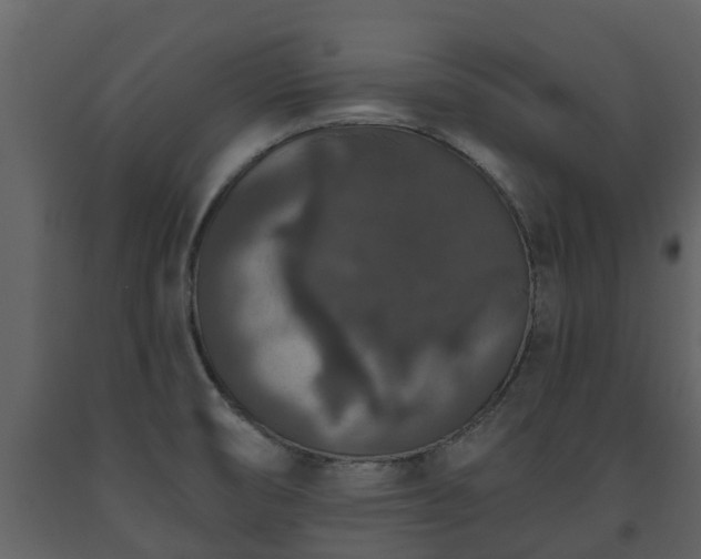 X0000093451474200710191052