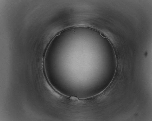 X0000093451476200710191052