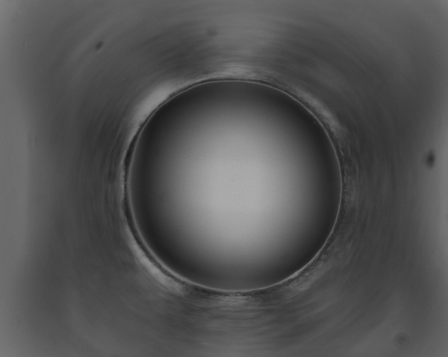 X0000093451479200710191052