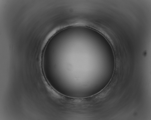 X0000093451480200710191052