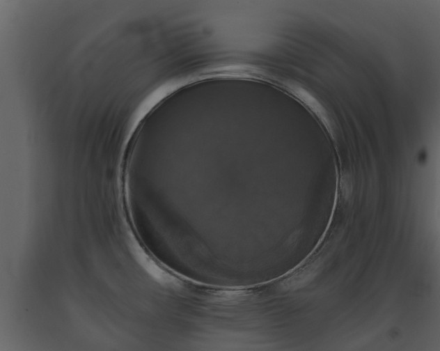 X0000093451482200710191052