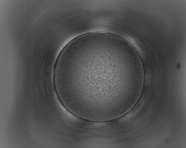 X0000093451484200710191052