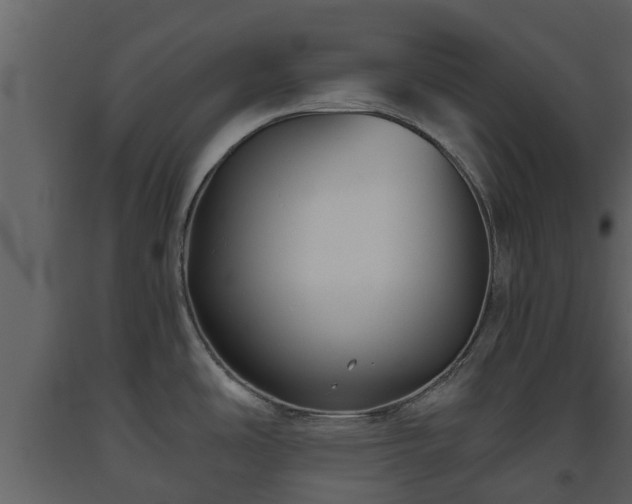 X0000093451486200710191052