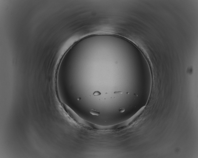 X0000093451488200710191052