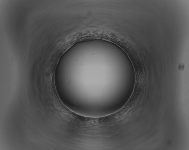 X0000093451489200710191051