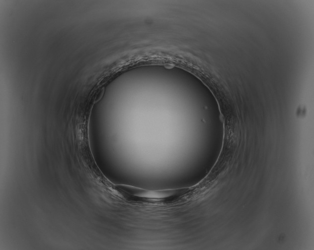 X0000093451490200710191051