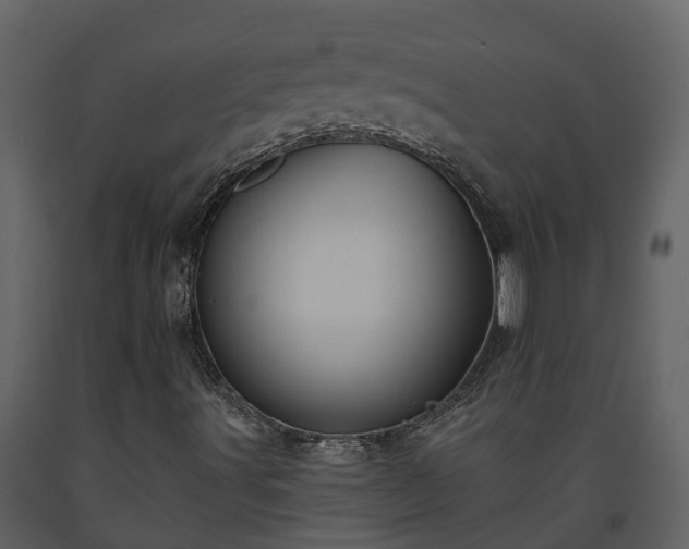 X0000093451491200710191051