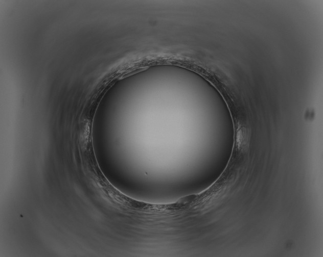 X0000093451492200710191051