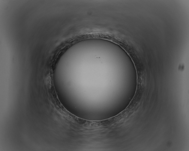 X0000093451493200710191051